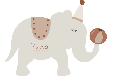 Geboortekaartje meisje circus olifant muts bal bruin roze oranje