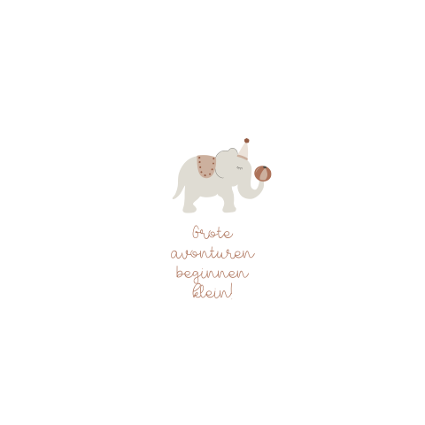 Geboortekaartje meisje circus olifant mutsje en bal folie bruin oranje
