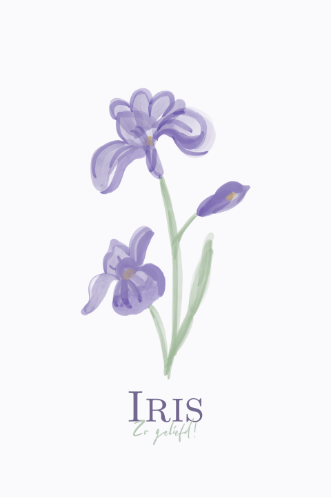 Geboortekaartje meisje geboortebloem februari de Iris met lila paars