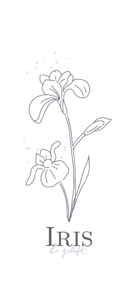 Geboortekaartje met geboortebloem februari de Iris met lila paars